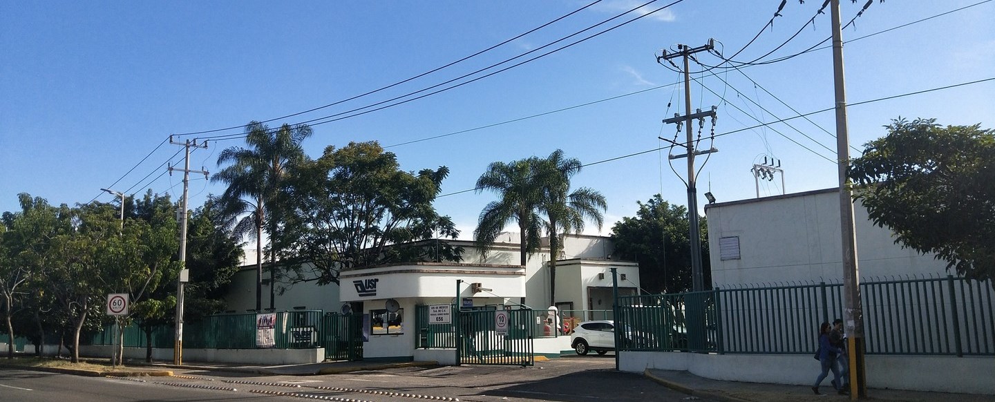 91香蕉网站在线