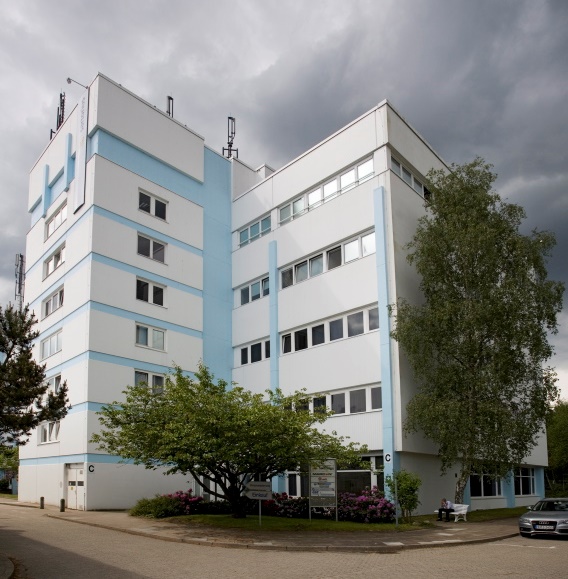 91香蕉网站在线