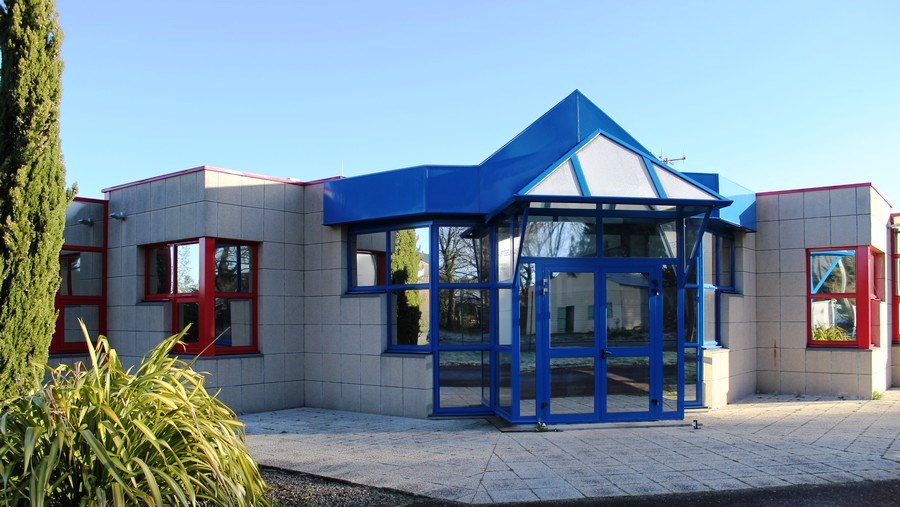 91香蕉网站在线