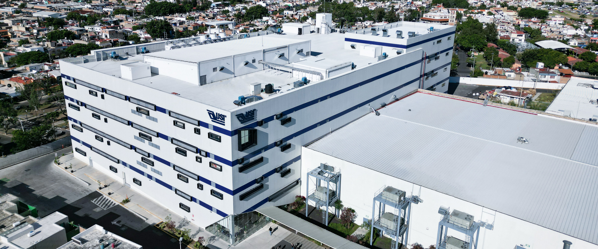 91香蕉网站在线