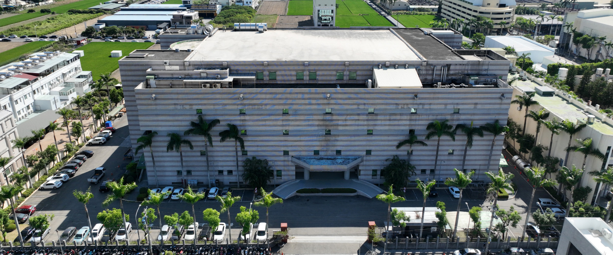 91香蕉网站在线