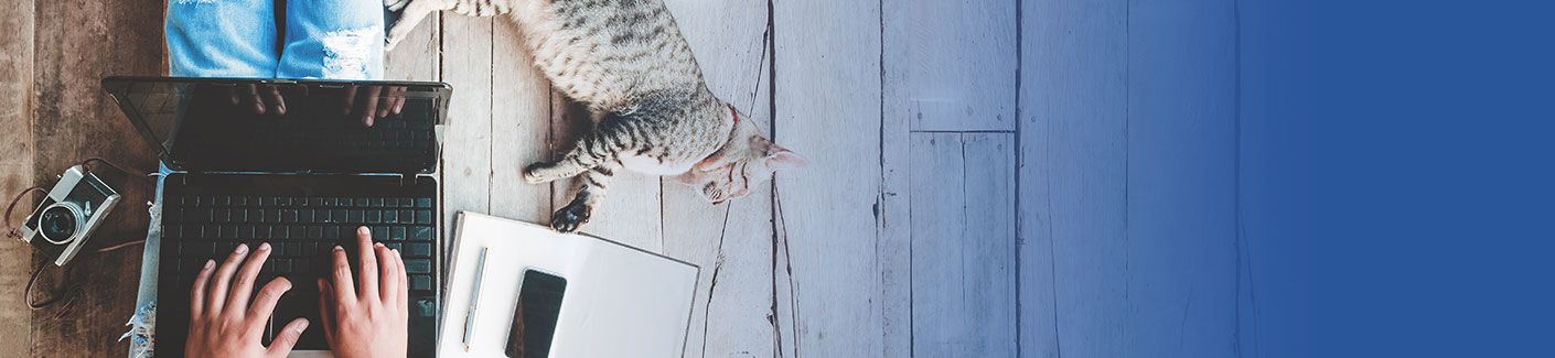 91香蕉网站在线