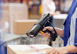 91香蕉网站在线