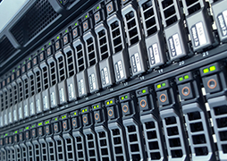 91香蕉网站在线