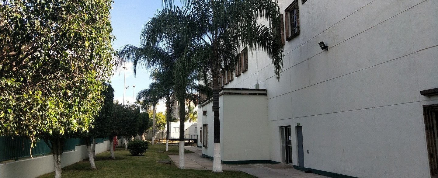 91香蕉网站在线